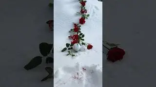 SNOW BALLOONS AND ROSE