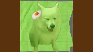 Different Area Codes (Egg Punk Version)