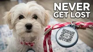 Ring Dog Tag Review | Ring Always Home QR Code Pet ID for Lost Dogs #puppies #puppylove