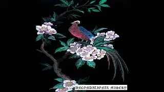 ISVVC - Unconditional Misery (Full Stream)