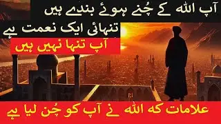 🔸 Signs Allah Has Chosen You. You Are Not Alone!Signs that Allah has chosen you&mdash;you are not alone
