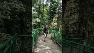 jalan jalan di hutan #laguviral  #malaysia