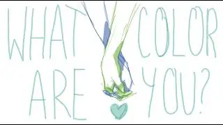 What Color Are You | Plance Animatic