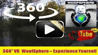 360 Videos|VR| Virtual Reality| WoofSphere |Husky Dog| How We Live Running Frolicking and Playing!
