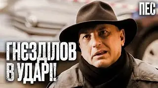 Курьезы капитана Гнездилова на службе – Сериал Пес 2024 | ДЕТЕКТИВ 2024 | ЛУЧШИЙ СЕРИАЛ О ПСЕ