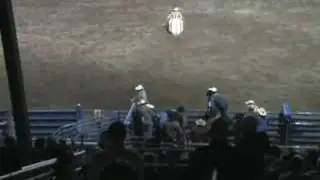 My First Bull Ride - Cody Night Rodeo - ClarenceHofer.com