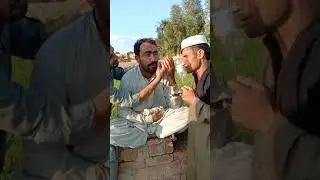 common sense Mazaahia video pashto mazahiye program Pashto new drama Pashto film Pashto mazahiya fil