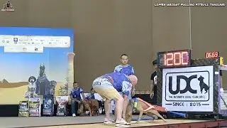 THAILAND PITBULL DOG ​​WEIGHT PULLING SPORTING COMPETITION ‼️PULL UP TO 1.5 TONS ‼️