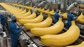 How Bananas Are Made &mdash; Inside the Mega Facilities That Process Millions of Tons