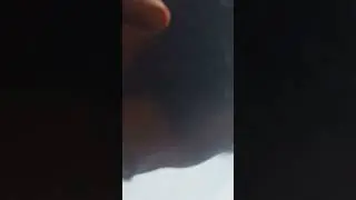 indian calcahr