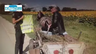 Профилактика ДТП 18 07 19
