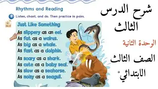 شرح الدرس الثالث الوحدة الثانية انجليزي Rhythms and Reading الصف الثالث الابتدائي الفصل الاول