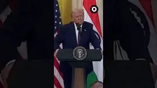 Трамп индийскому репортеру: &laquo;Я не понимаю ни слова из того, что он говорит&raquo;