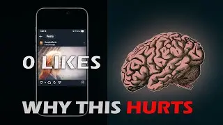 Why Are We So Obsessed With Likes?