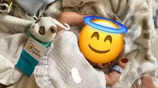 Vlog ~ nouveau reborn ❤️
