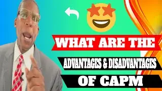 What Are the Advantages and Disadvantages of CAPM