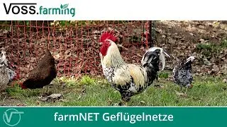 Der ideale Geflügelzaun - VOSS.farming farmNET Geflügelnetze