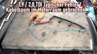 1,9TDI Elektrische Fehler, Kabelbruch im Motorraum