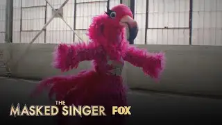 The Clues: Flamingo | Season 2 Ep. 6 | THE MASKED SINGER
