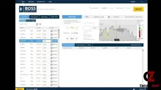 Boss Capital Review