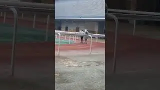 Dubai racing club #lifeisbutadream my horse running #@34