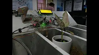 Smart Agriculture IoT System Involving Sensor-Based Monitoring and  Image Processing