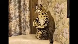 2 февраля 2026 г.