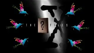 🕵🏾 EXPEDIENTE  MIND CAPITAL 🕵🏾