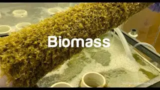 Beyond Innovation S3;E03: regenerative farming, ending world hunger, seaweed biomass & more!