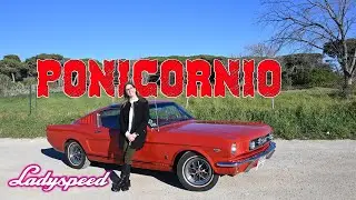 Ford Mustang Fastback (1st Gen) 1965. Un Pony encabritado #Ford #Mustang #fastback