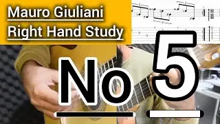 Mauro Giuliani 120 Arpeggio | No.5 _ Right Hand Studies
