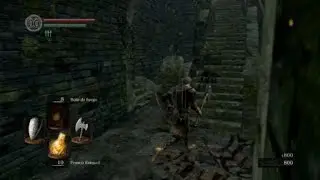 As&iacute; se lucha contra un caballero #DS