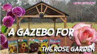 PLANS CHANGED! Making room for a gazebo, a new sunflower garden and more roses!