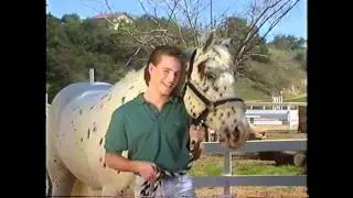 Teen Vid Tommy Puett