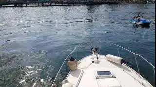 Luzern Luzernlake Schweiz Switzerland Vacation Urlaub Ferien Boot Schiff Rent Tourguide