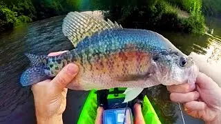 One Simple Way To Catch Summer Crappie Shallow (Iowa Crappie Fishing)