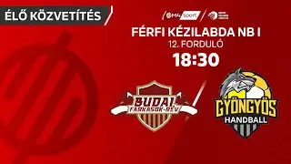 Budai Farkasok-Rév – HE-DO B Braun Gyöngyös | férfi K&H Liga | 12. forduló