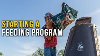 Starting a Supplemental Feeding Program with Record Rack
