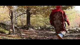 Broborg (Kista) autumn - music, video, photos by Ajvazovski, copyright