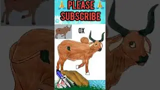 how to draw ox #shorts