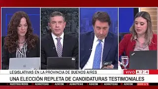 📺EL PASE ENTRE ROSSI Y FEINMANN: LA TRAMPA DE LAS CANDIDATURAS TESTIMONIALES