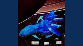 Don Sesno