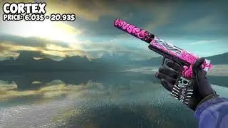 all usp s skins showcase prices 2019 Cs Go