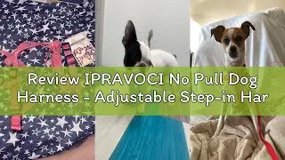 Review IPRAVOCI No Pull Dog Harness - Adjustable Step-in Harness & Leash Set for Small, Medium, Larg
