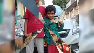 B. Rajesh
