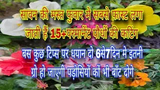 सावन की फुवार मे 15+रंगीन परमानेंट पौधों की कटिंग इतनी तेजी से ग्रो होंगी पड़ोसियों मे भी बाँट दोगे