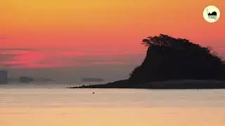 Contrabass Deep Sleep Music – 8 Hours of Low Frequency Healing. 콘트라베이스 저주파 숙면 음악 8시간 | 깊은 수면과 회복