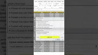 Highlights cells in ms Excel basic to advance in condition formating #newvideo #exceltips