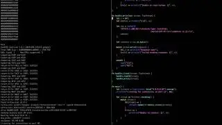Dynamically Changing the Memory Layout of a Rust Unikernel in Google Cloud on every HTTP Request