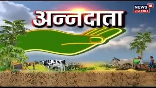 Agriculture News : खेती-बाड़ी और किसानी से जुड़ी कुछ प्रमुख खबरें | Annadata | News18 Rajatshan